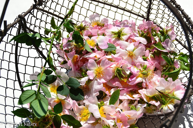 Confit de fleurs d'églantier © Popote et Nature