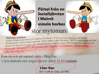 Socialsekreterare begått för förtal brott mot mig 