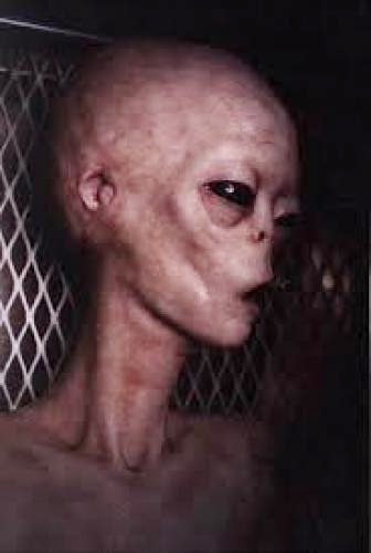 Ufo Dakota Do Sul Gestor De Segurana Descreve O Encontro