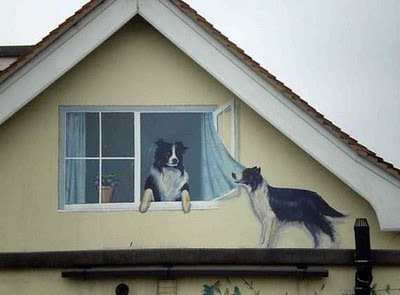 Realistic Dog Couple Illusion