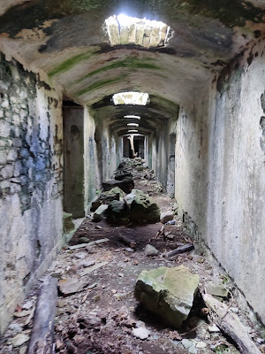 Rathdaire House/Bellgrove in Laois. Ruined 1800's Italinate Mansion