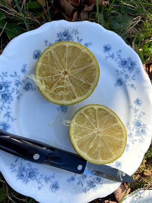 a single lime cut in half on a white and blue plate