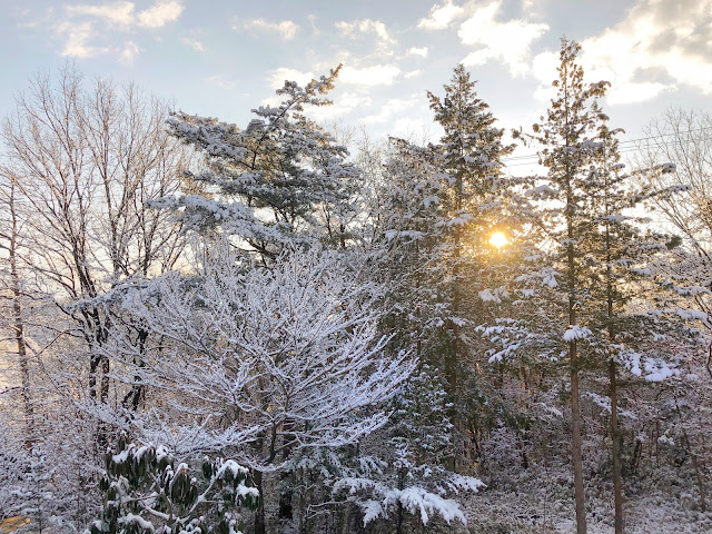 月明かりの中の雪景色と朝陽のなかのダイヤモンドダスト。