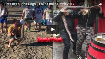 Just For Laughs Gags || Fake Snake Prank 2017