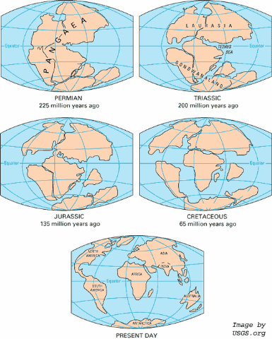 Pangaea