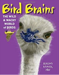 bird brains cover