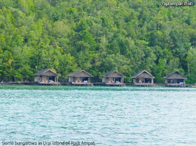 Raja Ampat accommodation in Urai island