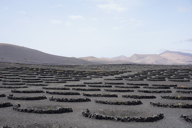 vigneto lanzarote geria regione vinicola