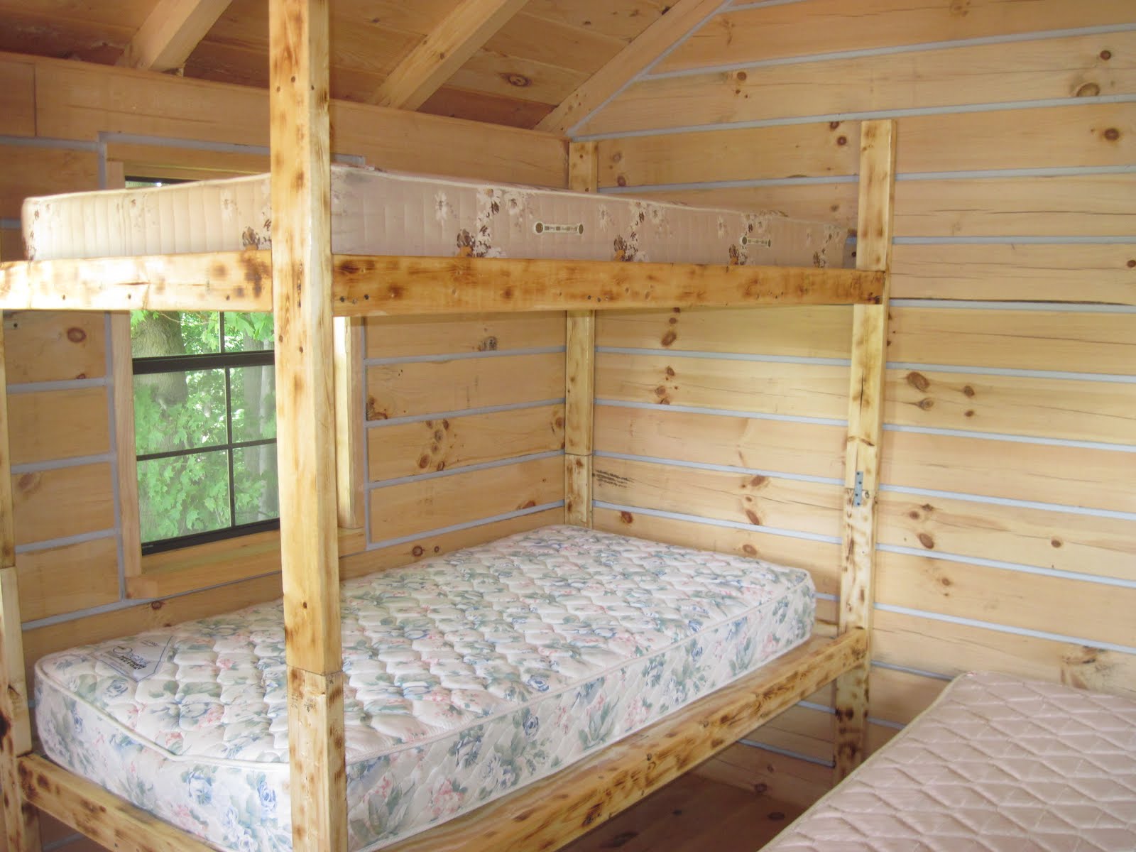Download Cabin Bunk Bed Plans PDF cabinet incubator plans | woodplans