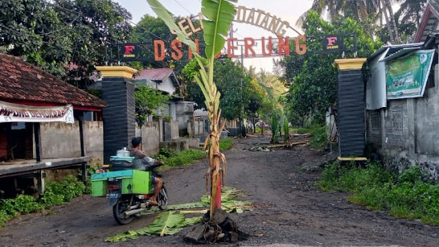 Tagih janji Bupati, warga Tirtanadi tanam pohon pisang di tengah jalan
