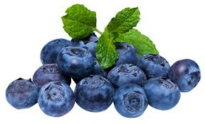 Facts about Blueberry Fruit