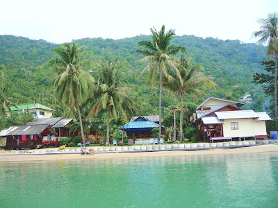 beach bunglaows and jungle koh phangan