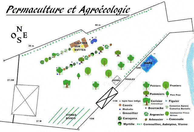 plan de jardin en agroécologie