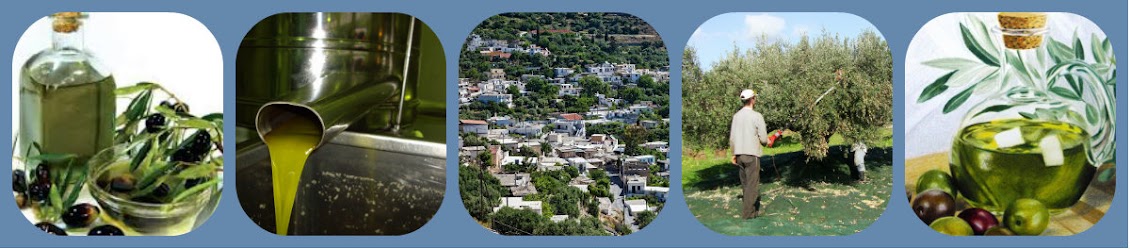 ΕΛΑΙΟΥΡΓΕΙΑ ΒΙΑΝΝΟΣ