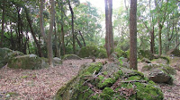 人文研究見聞録：八畳岩・八畳岩古墳（吉備の中山） ［岡山県］