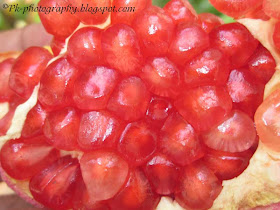 Pomegranate Seeds Picture