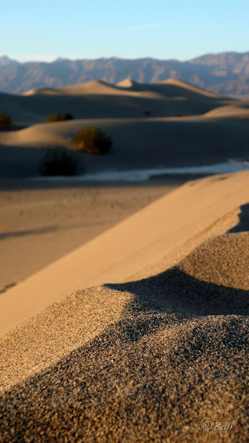 Death Valley. California. EEUU