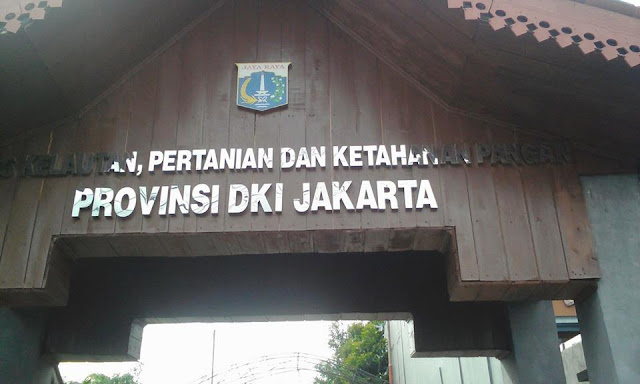 Jakarta Seeks to Preserve Salak Condet from The Extinction