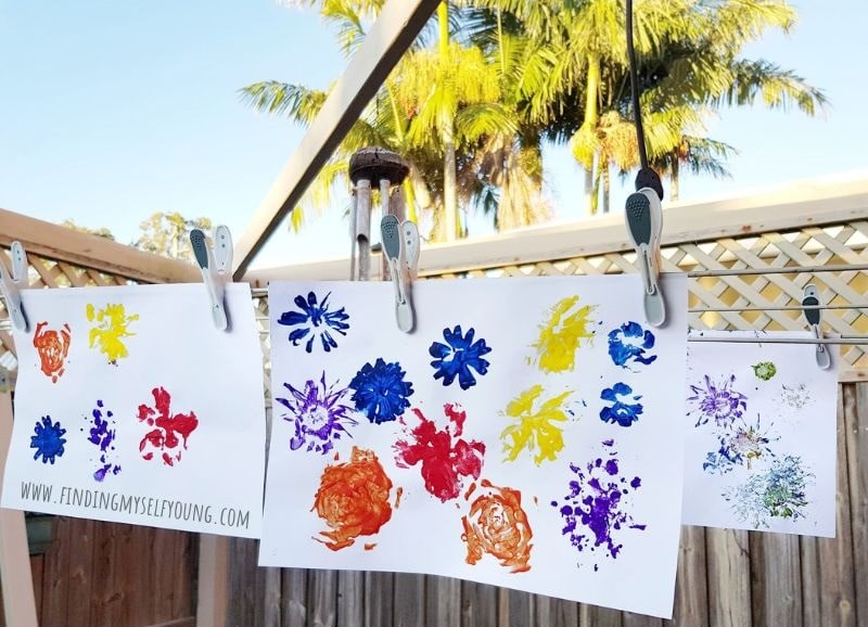 finished flower paintings hanging on washing line to dry