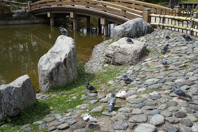 高槻城跡公園(高槻市)