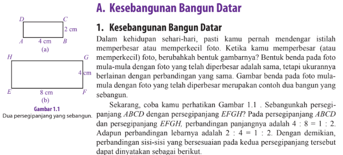 A Kesebangunan Bangun Datar Science639