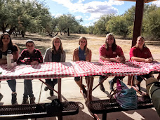 A group of 5 woman and 2 man sitting at table with a red and white checked tablecloth. There are trees and clouds in the background.