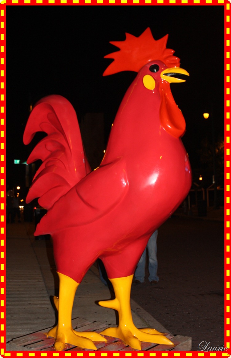 rooster