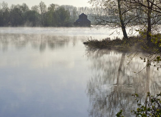 Foto cover Werken aan zoet water in de delta Terugblik 2019 en vooruitblik 2020-2021: voortgangsrapportage