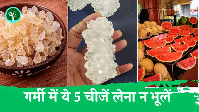 Don't Forget To Eat These 5 Things In Summer