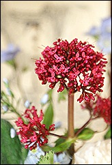 blog 6