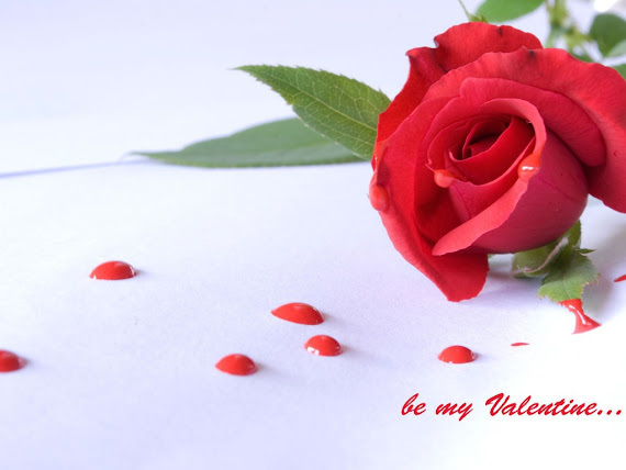 Be my Valentine besplatne pozadine za desktop 1024x768 slike ecard čestitke free download ruža valentinovo dan zaljubljenih