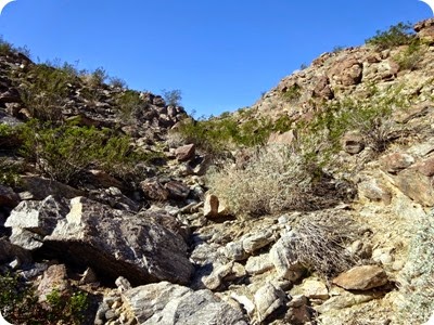 DSC00216