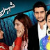 Shehr e Yaran in High Quality Episode 33- ARY Digital – 28th November – 2013