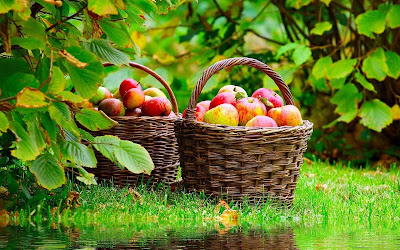 Nature Fruits Wallpaper