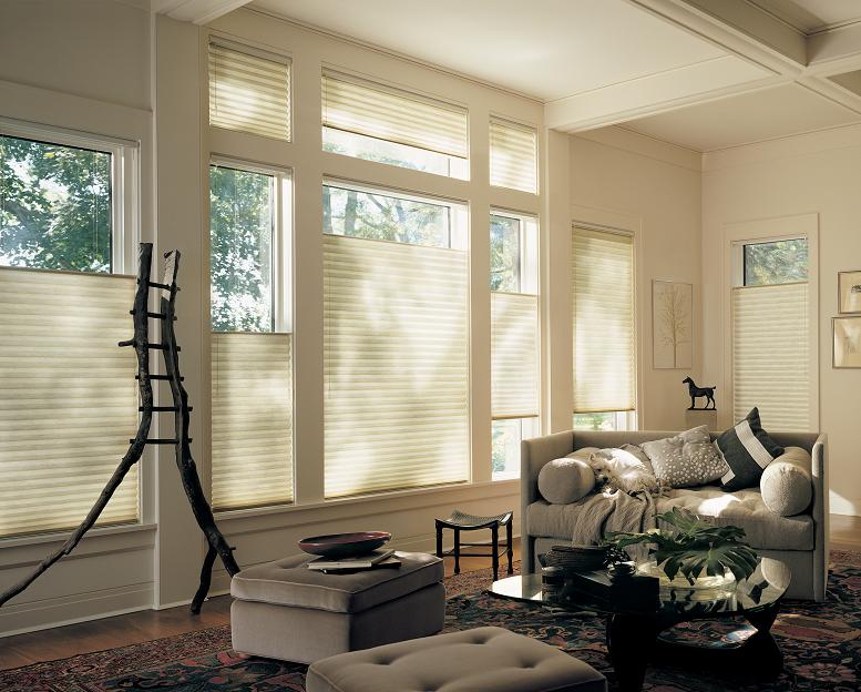 Blinds and Shades Orlando | Hunter Douglas Cellular 