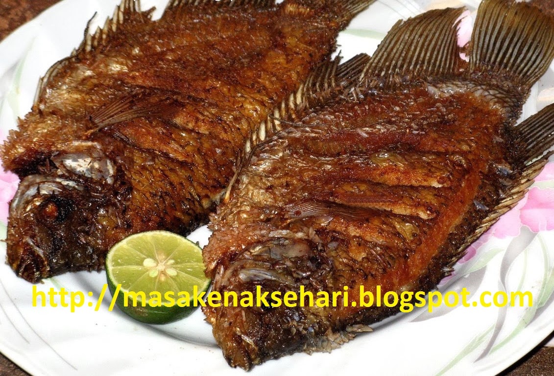 Bumbu ikan mas goreng dan cara menggoreng ikan mas renyah