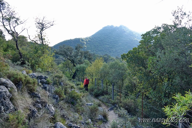 Benamahoma - Cruz de la Atalaya - Torre Musulmana - El Descansadero - Molino del Susto