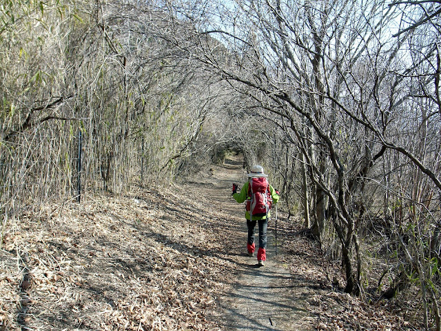 沢水登山口からくたみわかれへのコンクリート道