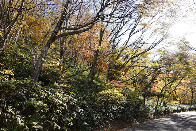 鳥取県西伯郡大山町 大山環状道路