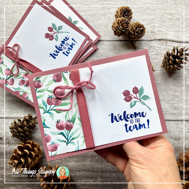 Stampin Up UK Winter Meadow ideas