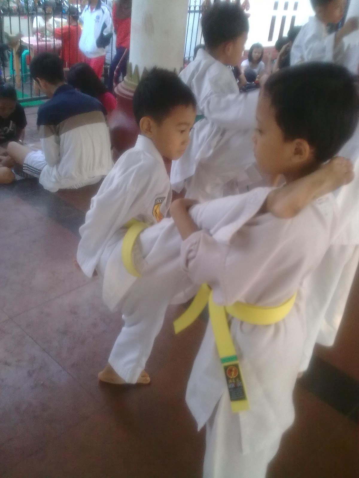 Santi Dewi Karate Atau Pencak Silat