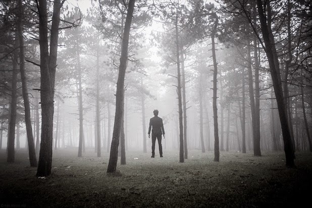 alessio albi 6