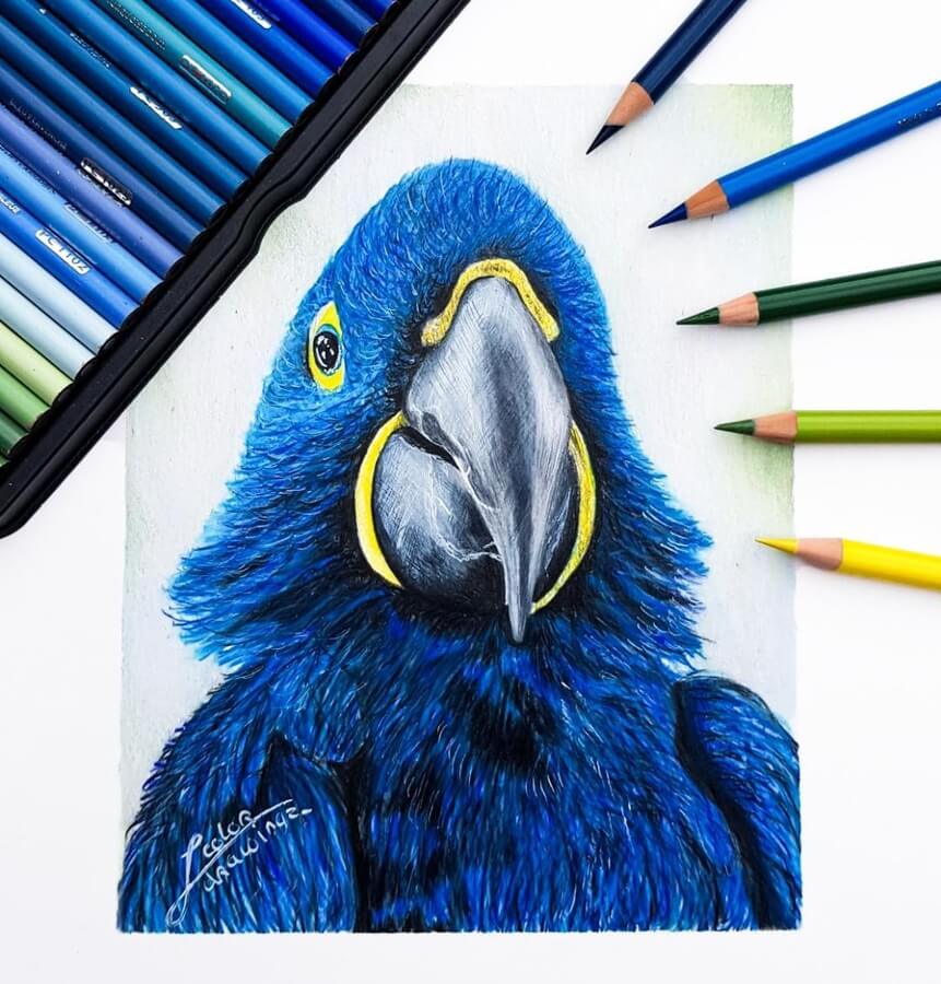 03-Blue-Parrot-Joukje-Elzinga-www-designstack-co