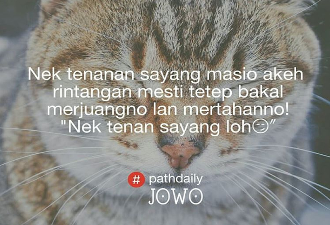 50 Gambar Quotes Kata Kata Pathdaily Jowo Baper Tentang Cinta