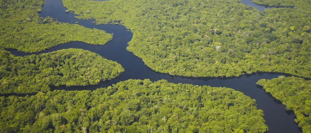 Amazon Rainforest -- Brazil