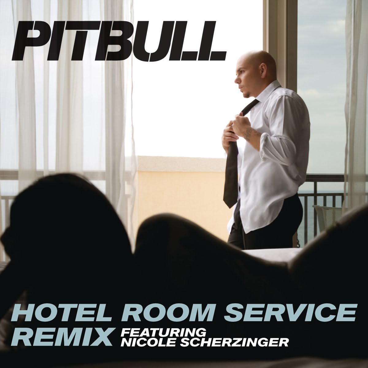 Pitbull - Hotel Room Service