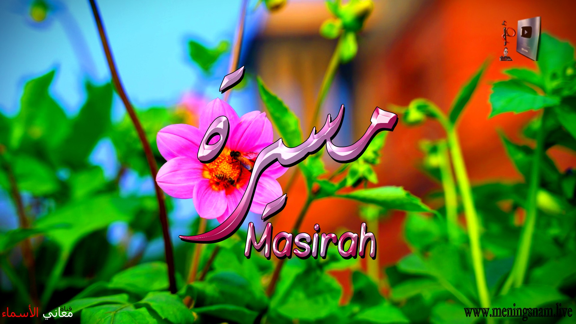معنى اسم, مسيرة, وصفات, حاملة, هذا الاسم, Masirah,