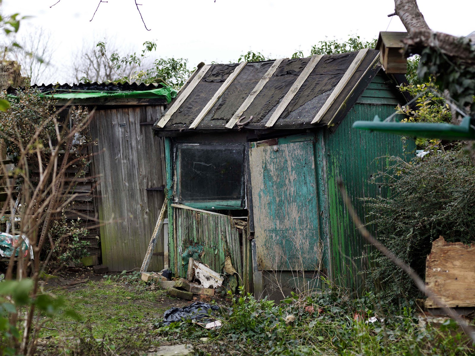 Old Garden Shed