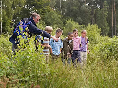 How can environmental education help the environment?