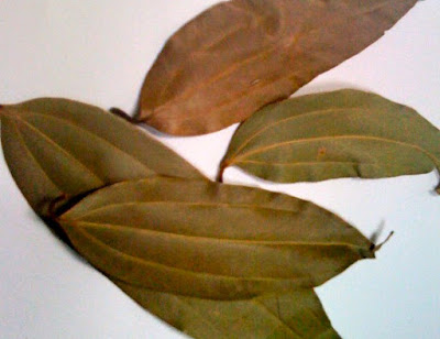 Bay Leaves (cassia) - Tej paat, Tej-patta - (तेजपत्ता)